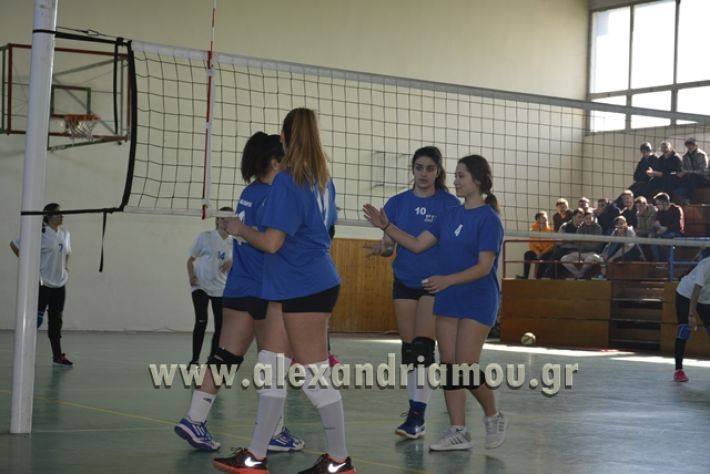 volley_1o-alexandreias-melikis2018 (84)